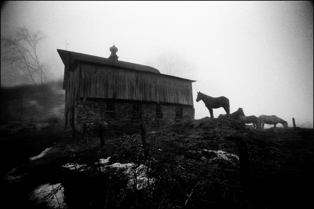 Horse and Barn, Steven Poster, 1972